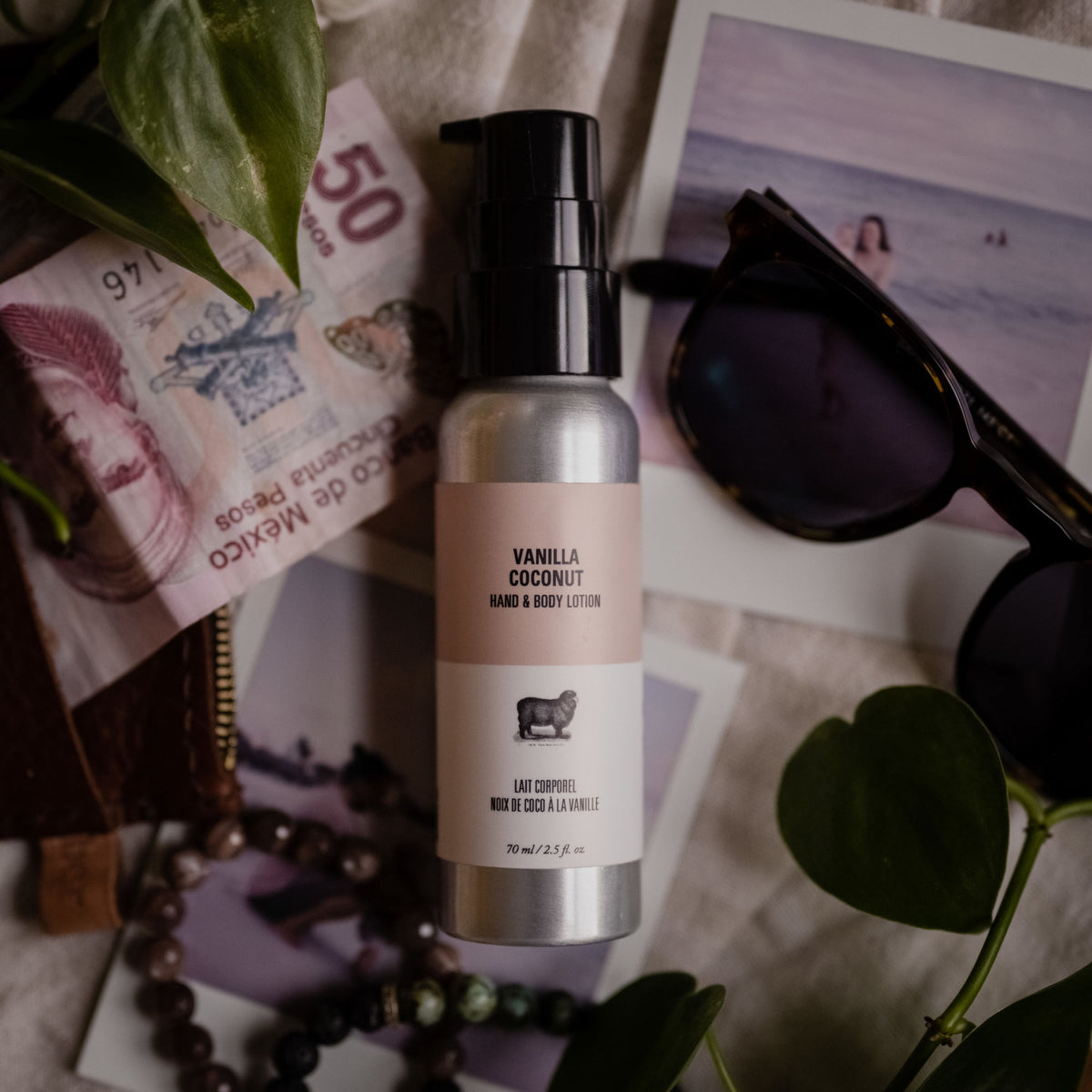 Vanilla Coconut Hand & Body Travel Lotion - Wholesale