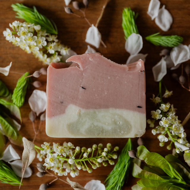 Summer Watermelon Bar